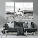 62789800-MGV-CV-36X24-White Horse Wall Art Canvas Print, Framed Woman Rider Art Picture Print, Equestrian Pose Perfect Western Boho Decor Artwork