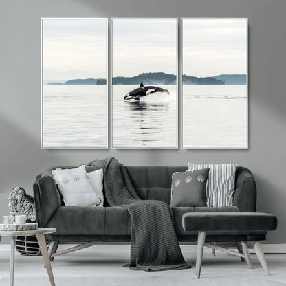 10157174-MGV-CV-36X24-Orca Whale Wall Art Canvas Print, Framed Black White Whale Art Picture Print, Minimalist Ocean Perfect Coastal Minimalist Decor