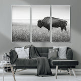 28435251-MGV-CV-36X24-Bison In Prairie Wall Art Canvas Print, Framed Rustic Wildlife Art Picture Print, Wild Buffalo Perfect Rustic Western Decor