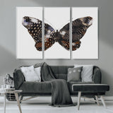 99831147-MGV-CV-36X24-Spotted Butterfly Wall Art Canvas Print, Framed Neutral Insect Theme Art Picture Print, Earthy Wing Pattern Perfect Modern Rustic
