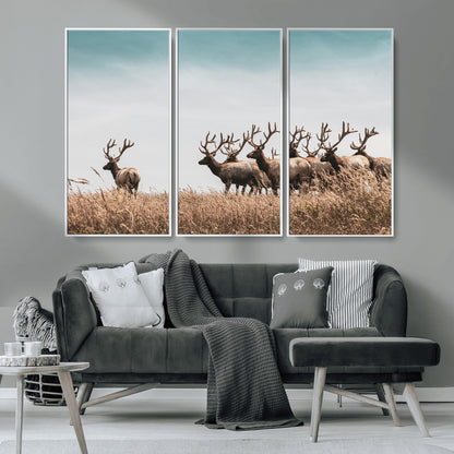81594705-MGV-CV-36X24-Elk Herd Wall Art Canvas Print, Framed Wildlife Photography Art Picture Print, Rustic Nature Print Perfect Rustic Wildlife Decor