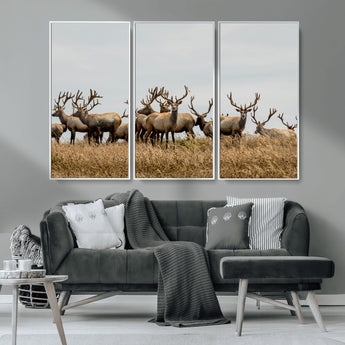 42170220-MGV-CV-36X24-Elk Herd Wall Art Canvas Print, Framed Wildlife Photography Art Picture Print, Majestic Antlers Perfect Rustic Wildlife Decor