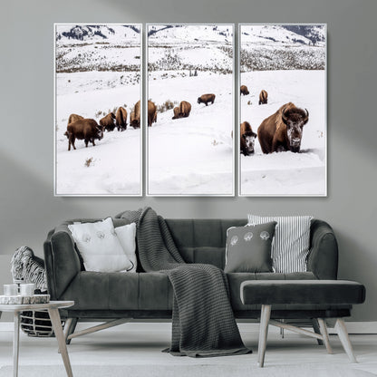 38217250-MGV-CV-36X24-Bison Herd Wall Art – Wildlife Canvas Print of Buffalo Winter Snow Scene, Rustic Western Lodge Décor, Farmhouse & Cabin Nature