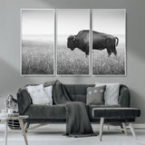 90861202-MGV-FC-48X32-3P_White-Black and White Bison Canvas Wall Art – Rustic American Buffalo Print, Western Wildlife Photography for Farmhouse, Cabin, Office