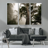 87969493-MGV-CV-36X24-Forest Wall Art – Misty Tall Trees Canvas Print, Dramatic Woodland Photography Decor for Bedroom, Living Room, Office, Cabin,