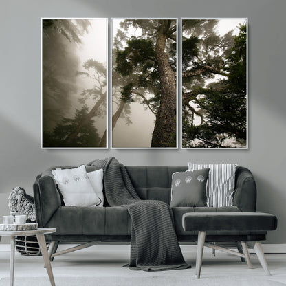 87969493-MGV-CV-36X24-Forest Wall Art – Misty Tall Trees Canvas Print, Dramatic Woodland Photography Decor for Bedroom, Living Room, Office, Cabin,