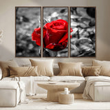 84671-MGV-CV-36X24-Red Rose Wall Art – Vibrant Single Bloom Canvas Print with Black and White Background, Elegant Floral Decor for Living Room,