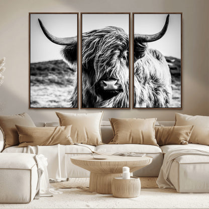 36979-MGV-CV-36X24-Striking black-and-white portrait of a Highland cow with flowing fur and majestic horns, perfect for rustic and elegant home or