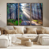 42047-MGV-CV-36X24-Sunlit Forest Path Wall Art – Nature Canvas Print, Serene Woodland Landscape, Perfect Home & Office Decor for Calm and Tranquil
