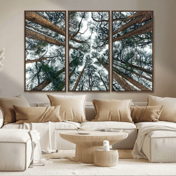 18790-MGV-CV-36X24-Pine Canopy Wall Art – Panoramic View of Towering Pines Canvas Print, Nature-Inspired Decor for Office, Cabin or Living Room