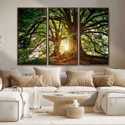 52150-MGV-CV-36X24-Majestic Tree Wall Art – Large Nature Canvas Print with Sunlight Through Branches, Rustic Forest Decor for Living Room, Bedroom or