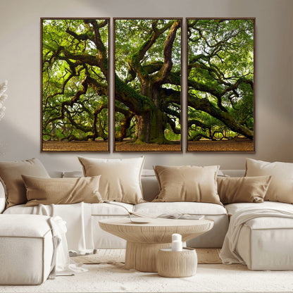 29407-MGV-CV-36X24-Ancient Oak Tree Wall Art – Majestic Nature Canvas Print, Large Tree Photography Decor for Living Room