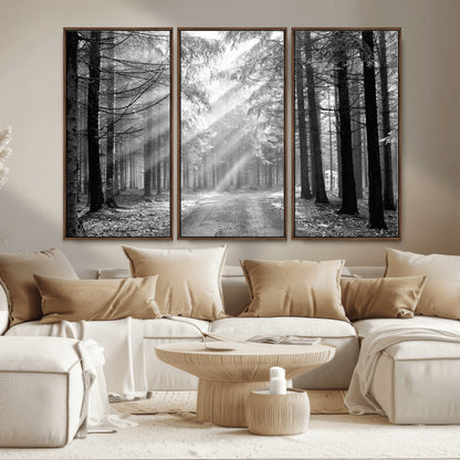 39665-MGV-CV-36X24-Black and White Forest Path Wall Art – Sunlight Rays in Trees Canvas Print, Nature Landscape Decor for Living Room