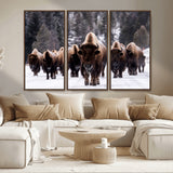 66871-MGV-CV-36X24-Bison Herd Wall Art – Wildlife Buffalo Canvas Print, Rustic Western Nature Photography Decor for Living Room, Office, Cabin, or