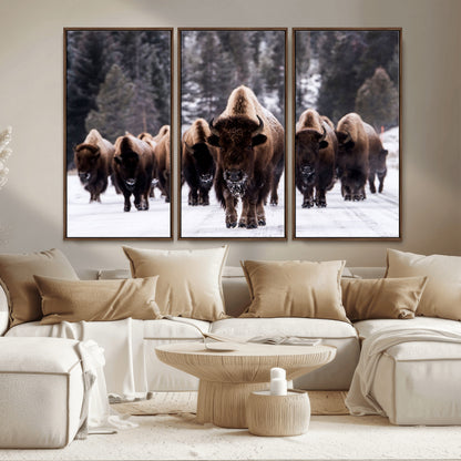 66871-MGV-CV-36X24-Bison Herd Wall Art – Wildlife Buffalo Canvas Print, Rustic Western Nature Photography Decor for Living Room, Office, Cabin, or