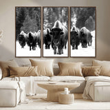 62434-MGV-CV-36X24-Bison Herd Wall Art – Majestic Black and White Buffalo Canvas Print, Wildlife Nature Photography Decor for Living Room, Office or