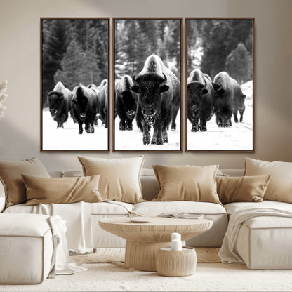 62434-MGV-CV-36X24-Bison Herd Wall Art – Majestic Black and White Buffalo Canvas Print, Wildlife Nature Photography Decor for Living Room, Office or