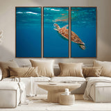 91440-MGV-CV-36X24-Sea Turtle Wall Art – Ocean Turtle Canvas Print, Underwater Marine Life Decor for Living Room, Office, Beach House or Bathroom