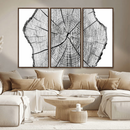 98709-MGV-CV-36X24-Tree Ring Wall Art – Black and White Canvas Print Rustic Wood Cross Section, Minimal Nature Inspired Decor for Living Room,