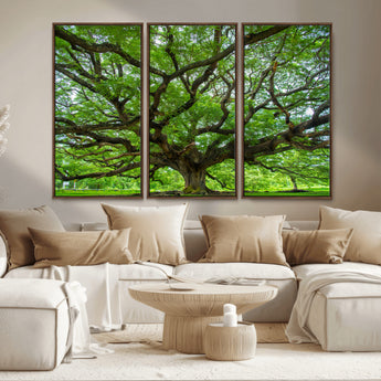 49375306-MGV-CV-36X24-Ancient Tree Wall Art Canvas Print, Framed Sprawling Branches Art Picture Print, Gnarling Tree Perfect Earthy Natural Decor