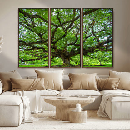 49375306-MGV-CV-36X24-Ancient Tree Wall Art Canvas Print, Framed Sprawling Branches Art Picture Print, Gnarling Tree Perfect Earthy Natural Decor