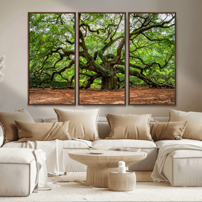 51255351-MGV-CV-36X24-Ancient Tree Wall Art – Majestic Oak Canvas Print, Large Nature Photography, Sacred Forest Landscape Wall Décor, Wisdom Tree