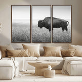 28435251-MGV-CV-36X24-Bison In Prairie Wall Art Canvas Print, Framed Rustic Wildlife Art Picture Print, Wild Buffalo Perfect Rustic Western Decor