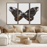 99831147-MGV-CV-36X24-Spotted Butterfly Wall Art Canvas Print, Framed Neutral Insect Theme Art Picture Print, Earthy Wing Pattern Perfect Modern Rustic