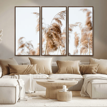 17019393-MGV-CV-36X24-Pampas Grass Wall Art Canvas Print, Framed Neutral Tones Art Picture Print, Minimalist Nature Perfect Boho Minimalist Decor