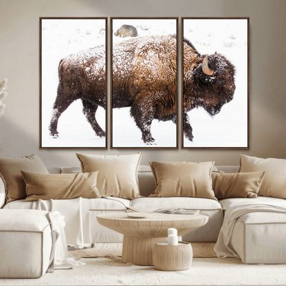 94261165-MGV-FC-48X32-3P_Walnut-Snowy Buffalo Wall Art Canvas Print, Framed Wildlife Photography Art Picture Print, Brown Tones Perfect Rustic Lodge Decor Decor