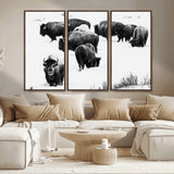 18914414-MGV-CV-36X24-Buffalo Herd Wall Art Canvas Print, Framed Black and White Art Picture Print, Snowy Landscape Perfect Rustic Lodge Decor Decor