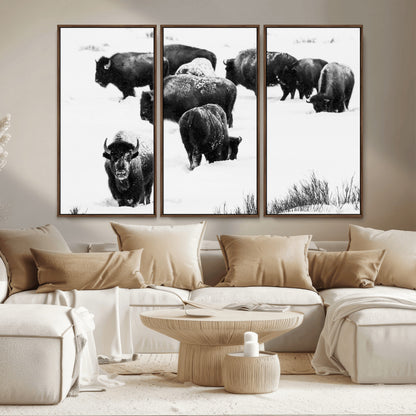 18914414-MGV-CV-36X24-Buffalo Herd Wall Art Canvas Print, Framed Black and White Art Picture Print, Snowy Landscape Perfect Rustic Lodge Decor Decor