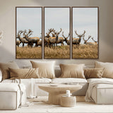 42170220-MGV-CV-36X24-Elk Herd Wall Art Canvas Print, Framed Wildlife Photography Art Picture Print, Majestic Antlers Perfect Rustic Wildlife Decor