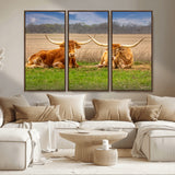 54598515-MGV-CV-36X24-Texas Longhorns Wall Art – Rustic Cattle Ranch Canvas Print, Western Farmhouse Animal Photography Decor for Living Room, Office,
