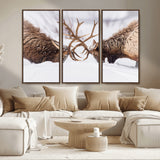 99240306-MGV-CV-36X24-Elk Wall Art – Two Bull Elk Fighting in Snow Canvas Print, Rustic Wildlife Artwork for Cabin, Lodge, Western Farmhouse, Nature &