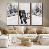 38956835-MGV-CV-36X24-Moose Winter Snowy Forest Canvas Wall Art – Wildlife Nature, Antlers in Frozen Landscape, Quiet Path, Cold Season Outdoors Print