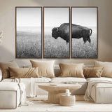 90861202-MGV-FC-48X32-3P_Walnut-Black and White Bison Canvas Wall Art – Rustic American Buffalo Print, Western Wildlife Photography for Farmhouse, Cabin, Office