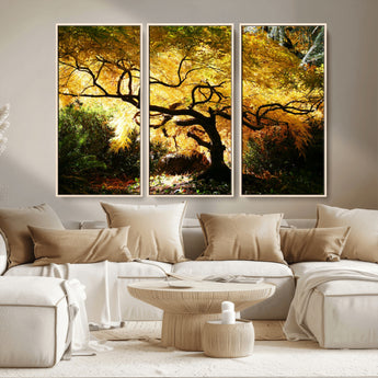 19067-MGV-CV-36X24-Golden Canopy Wall Art – Panoramic Autumn Tree Canvas Print, Warm Seasonal Decor for Living Room, Office or Garden Space