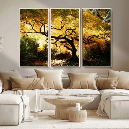19067-MGV-CV-36X24-Golden Canopy Wall Art – Panoramic Autumn Tree Canvas Print, Warm Seasonal Decor for Living Room, Office or Garden Space