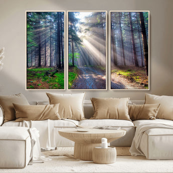 42047-MGV-CV-36X24-Sunlit Forest Path Wall Art – Nature Canvas Print, Serene Woodland Landscape, Perfect Home & Office Decor for Calm and Tranquil