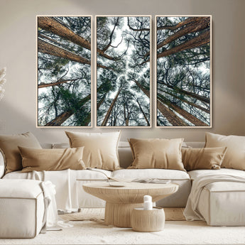 18790-MGV-CV-36X24-Pine Canopy Wall Art – Panoramic View of Towering Pines Canvas Print, Nature-Inspired Decor for Office, Cabin or Living Room