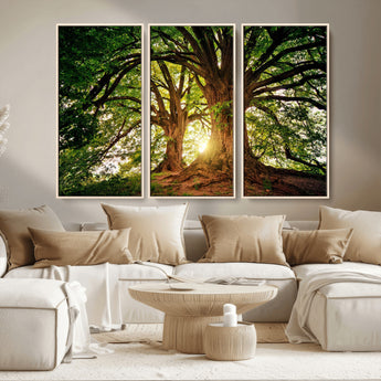 52150-MGV-CV-36X24-Majestic Tree Wall Art – Large Nature Canvas Print with Sunlight Through Branches, Rustic Forest Decor for Living Room, Bedroom or