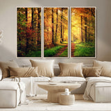 73494-MGV-CV-36X24-Golden Autumn Forest Path Wall Art – Sunlit Woodland Canvas Print, Fall Nature Landscape Home Decoration