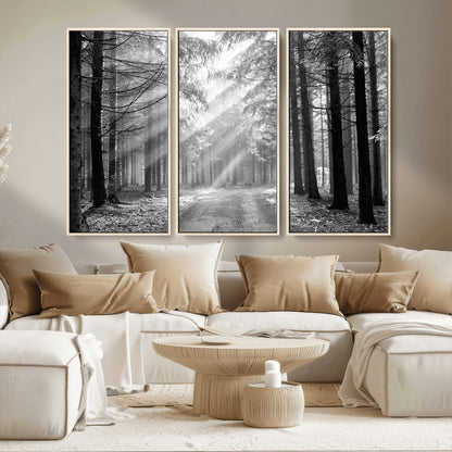 39665-MGV-CV-36X24-Black and White Forest Path Wall Art – Sunlight Rays in Trees Canvas Print, Nature Landscape Decor for Living Room or Office