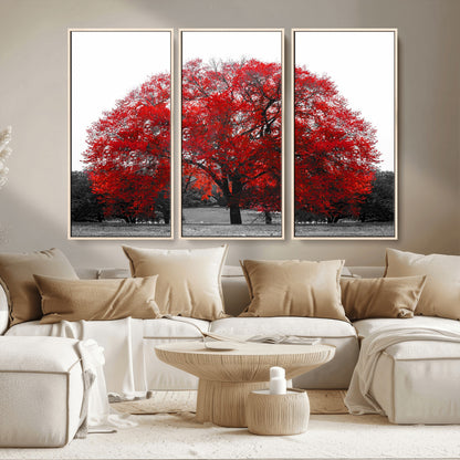 80021-MGV-CV-36X24-Red Tree Wall Art – Striking Black and White Landscape Canvas Print with Vibrant Red Leaves, Modern Nature Decor for Living Room