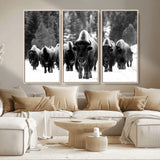 62434-MGV-CV-36X24-Bison Herd Wall Art – Majestic Black and White Buffalo Canvas Print, Wildlife Nature Photography Decor for Living Room, Office or