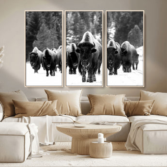 62434-MGV-CV-36X24-Bison Herd Wall Art – Majestic Black and White Buffalo Canvas Print, Wildlife Nature Photography Decor for Living Room, Office or
