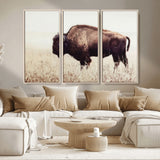 48406-MGV-CV-36X24-American Bison Wall Art – Rustic Buffalo Canvas Print in Prairie Field, Western Wildlife Photography Decor for Cabin, Lodge,