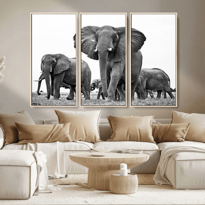 91685-MGV-CV-36X24-Elephant Herd Wall Art – Black and White Safari Canvas Print, African Wildlife Photography Decor for Living Room, Office or