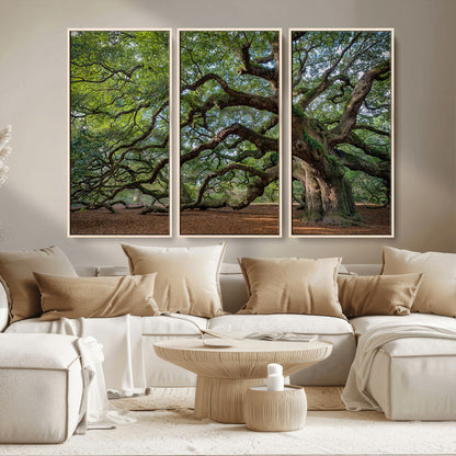 MGV-FC-48X32-3P - Historic Tree Wall Art Canvas Print, Framed Mossy Tree Art Picture Print, Twisted Branches Perfect Nature Southern Decor Artwork
